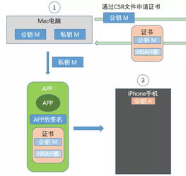 掌握未来：用Java开发iOS应用的无限可能