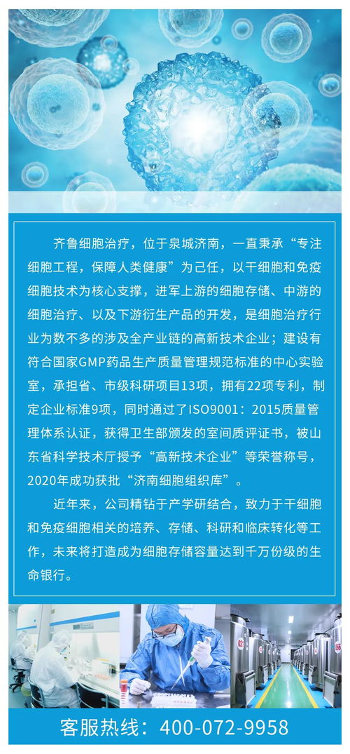 大雅查重与维普查重：功能与使用体验对比