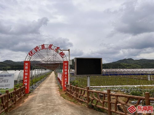 福建南平建阳徐市镇