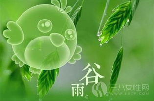 谷雨是什么时候的节气(谷雨节气是什么时间)