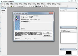 vb6.0软件精简版