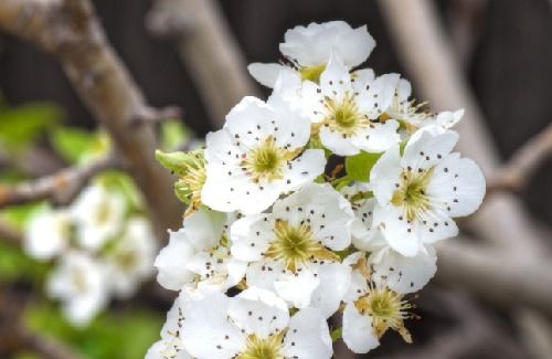 春暖花开 你能叫出这些花的名字吗