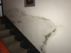 我家5楼 出门楼道墙壁漏水是哪里的原因 求帮助 有经历过知道哪里问题的吗 