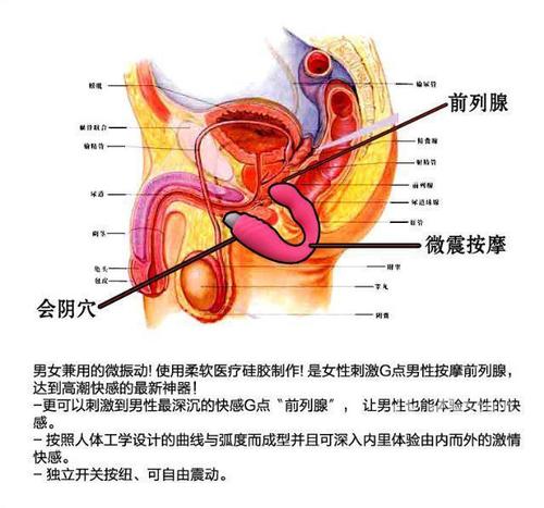 怎么给自己做前列腺按摩,前列腺按摩方法:婴儿学步指南的海报