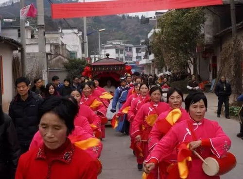 我是祁门山里的,你会嫌弃我吗 