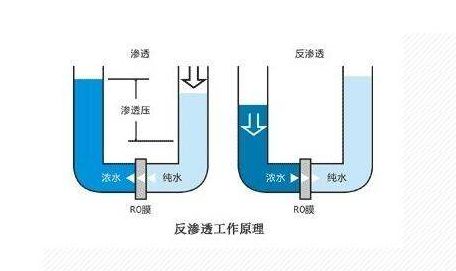 实现纯净水自由的家居必备好物 德国蓝宝小白鲸净饮机