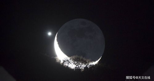 比较盘 月金合 金星喜欢月亮
