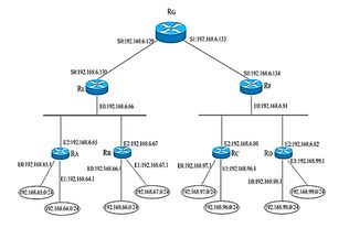 计算机四级网络技术知识点