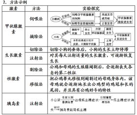 高二生物必修3,通过激素调节知识考点总结 