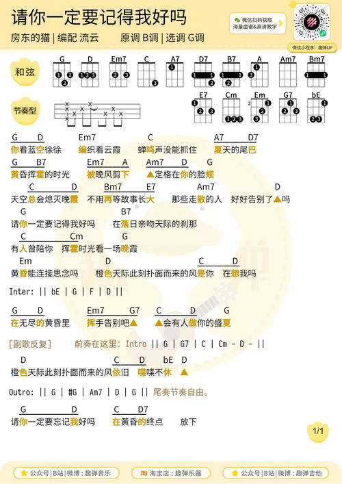 房东的猫 请你一定要记得我好吗