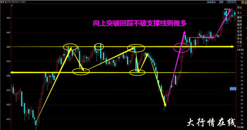 期货高手都是假的