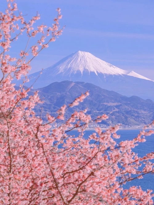 来日本,一定要去这几个地方嘎嘎好玩儿 