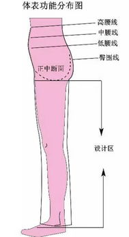 裤子尺寸参考表