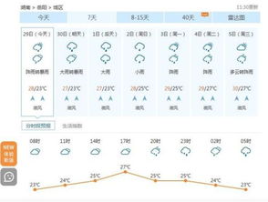 岳阳市十天天气预报15天（岳阳10天天气）