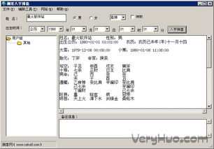 测客八字排盘下载 v1.0 绿色版 