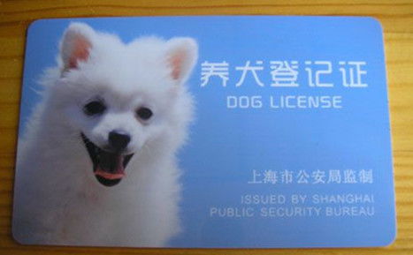 养宠上海人必知 这样子养狗还会影响个人信用 