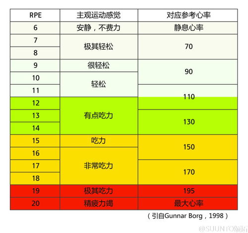 如何在跑步时知道自己的心率 