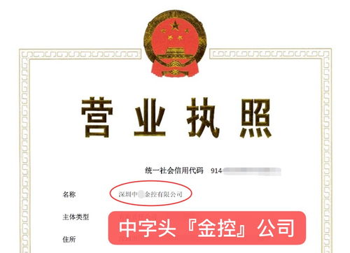 怎么注册一个金融投资公司