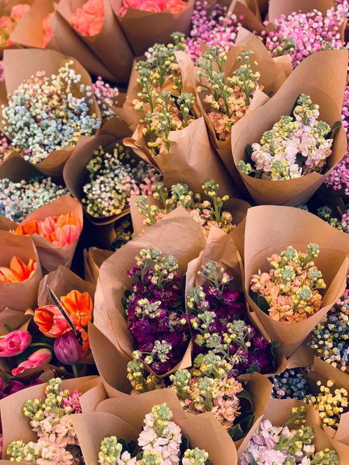 第一次送什么花,第一次送花，绽放爱情之花：精选鲜花指南