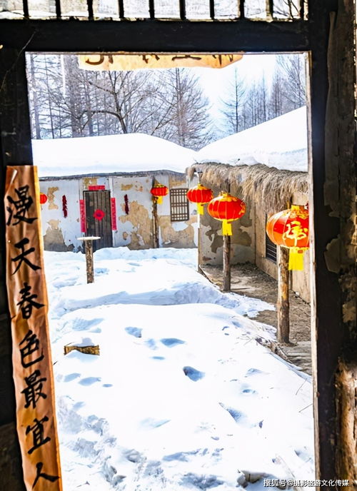 飞虎影像 雪原林海影视城 英雄智取威虎山