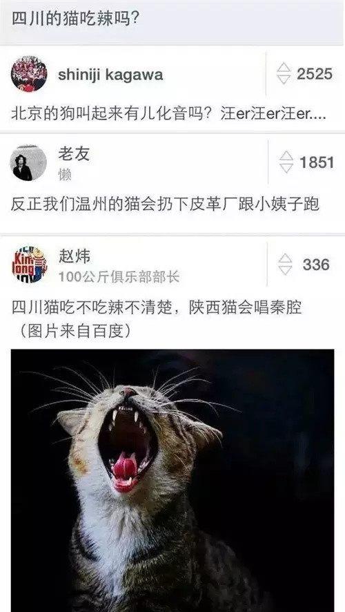 四川的猫能吃辣 北京的狗叫起来有儿化音 东北的猫最霸气