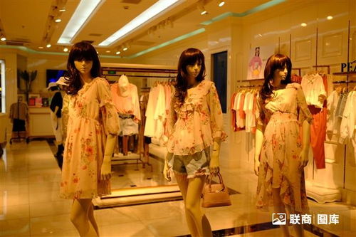 一线服装品牌有哪些名字 国际高端女装品牌大盘点 (服装品牌营业收入排行榜)