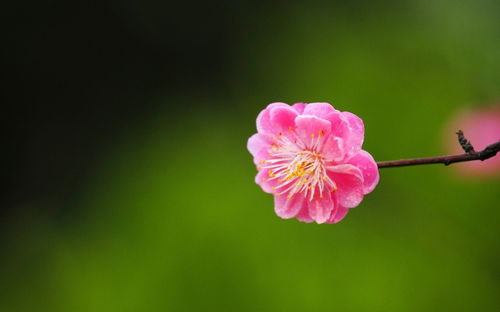 跟这四大星座女生过日子太难了