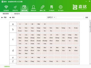 嘉铭宝宝起名软件电脑版下载2020 嘉铭宝宝起名软件电脑版下载 