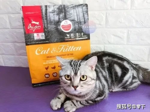 2020国产猫粮排行榜,哪些猫粮价格便宜品质又好