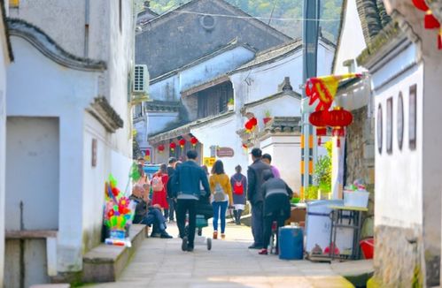 宁波慈溪哪些地方最好玩 这几处旅游景点让你乐不思蜀