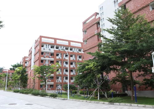 广东开放大学地址已有,广东开放大学学校所在地 