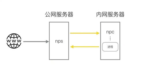 影响高防服务器稳定运行的因素有哪些呢