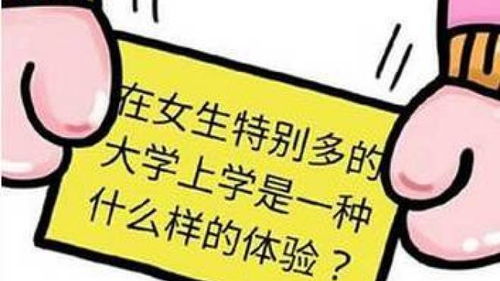 女生不上学了学什么好,不上学了的女孩干点什么好？