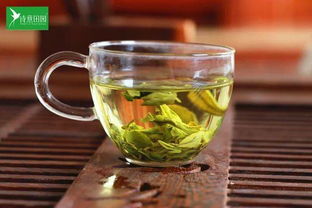 夏天喝绿茶到底有多好