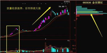 怎样才能把炒股的奥秘了解并不下滑呢?