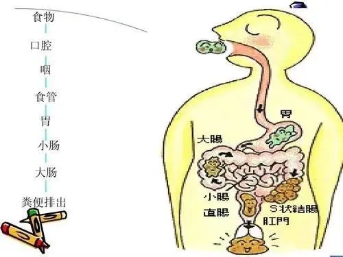 是时候和便秘说拜拜了