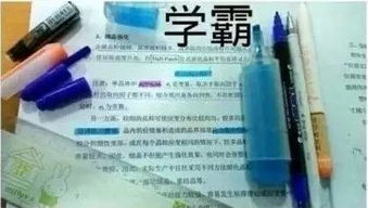 山东老师爆笑吐槽 学习姿势这么销魂咋不上天呢 