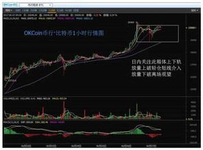 比特币 拥有者 排名,目前世界上有多少人拥有比特币?拥有最多比特币的人是谁?