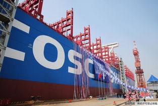 2万标箱级集装箱船 中远海运狮子座 轮在江苏南通命名