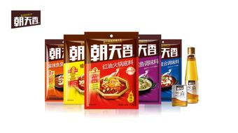 目前，国内调味料哪个公司做得好