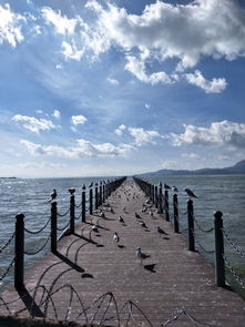 滇池 海埂公园风景图片 