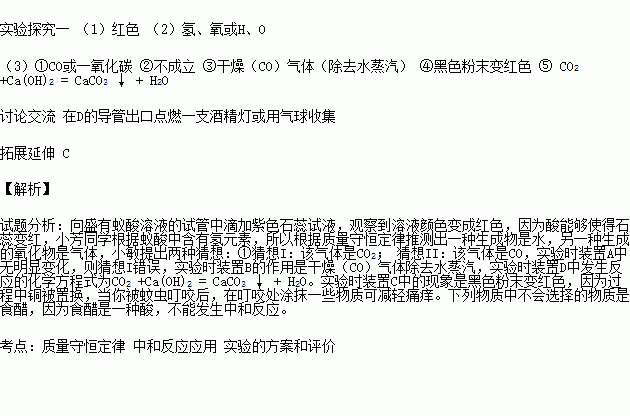 蚁酸是怎么形成的(蚁酸长什么样子)