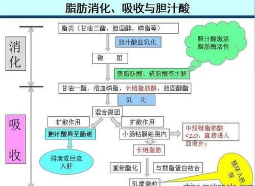 政策法规助力降低查重率：方法与案例