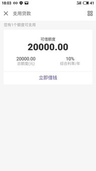 京东金融里的建设银行快贷可支用金额在哪