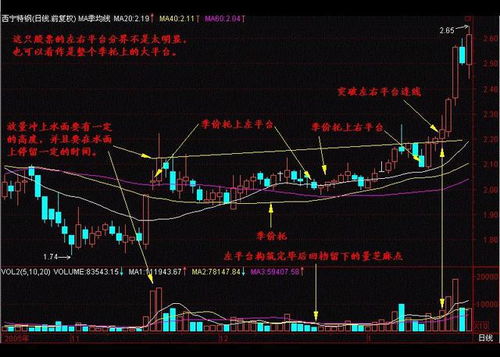 股票除权后当天和第二天突然放天量什么意思