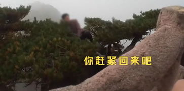 男子在黄山旅游不要命,爬到悬崖松树上拍照