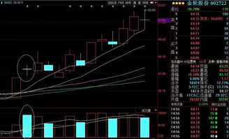 请教一下   股票中的术语  大阳  小阳  T线是什么意思