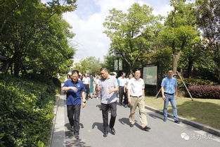 宜城街道（宜城街道派出所电话） 第1张