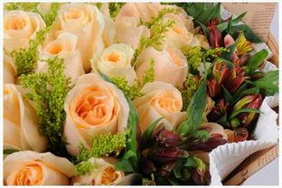 11朵香槟玫瑰花语,11朵香槟玫瑰的花语：永恒的爱情与真挚的承诺