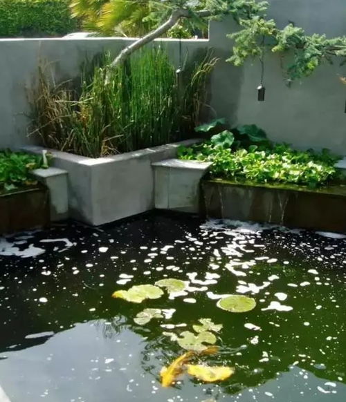 适合在后院里布置的14个水池瀑布创意,过上养鱼种花的生活